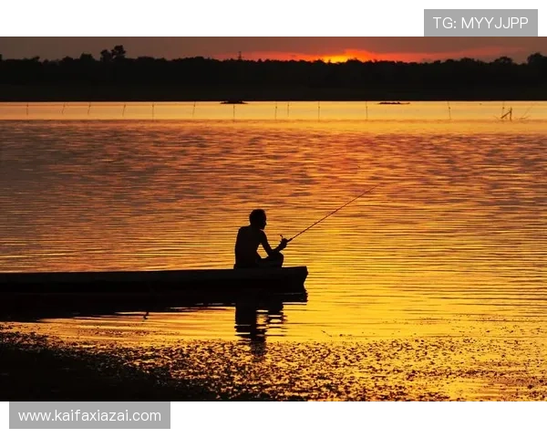 探索K8捕鱼国际的特色捕鱼模式，提升你的游戏体验与获胜几率